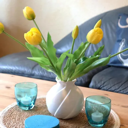 Dünenrose Ferienhaus Carolinensiel