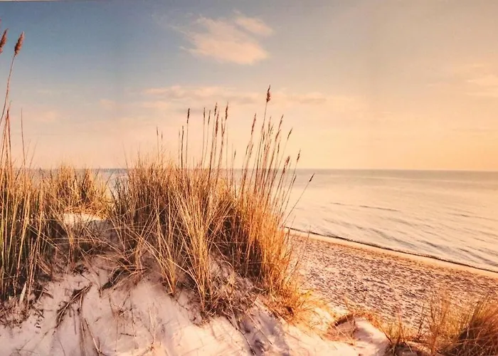 Duenenrose Nyaraló Carolinensiel